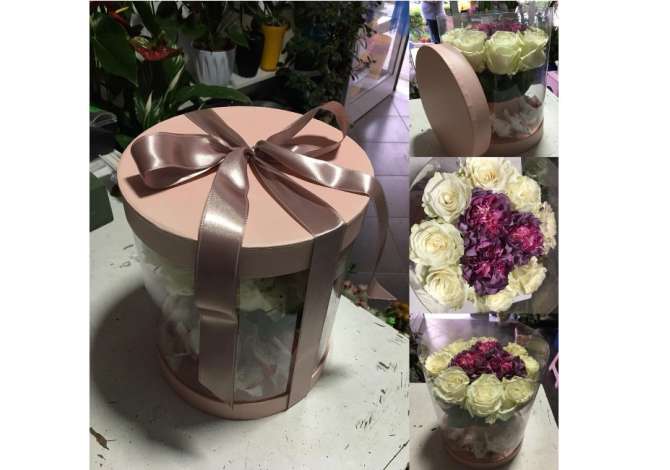 Holiday arrangements  in Lezha - 0 
