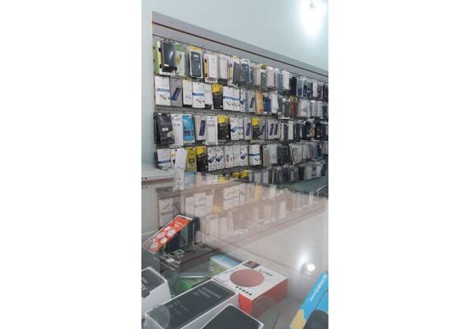 Professional Services  in Vlora - 0 