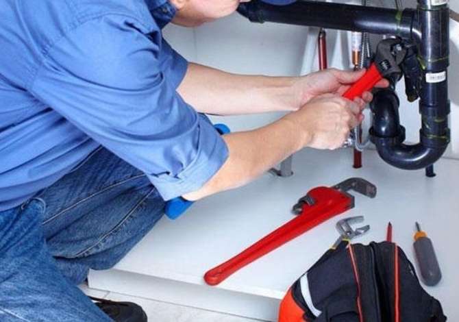 Environment maintenance in Tirana - 1,000 Leke