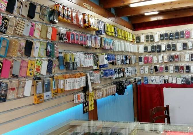Professional Services a Tirana - 1,000 Leke