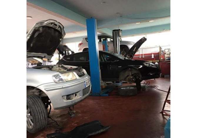 Car Service  in Fier - 0 
