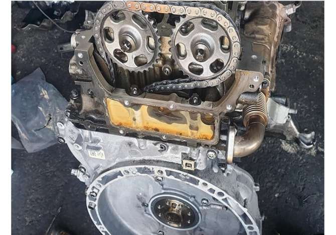 Car Service  in Elbasan - 0 