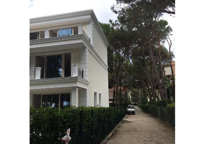 Construction and Restructurings  in Tirana - 0 