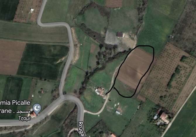 Truall ose Toke ne Tirane - 200 Euro