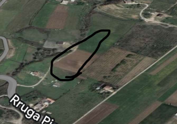 shitet toke ne picalle tirane afer TEG 3000 m2 je vende ideal per vila ose hoteli ne rruge qendrore 