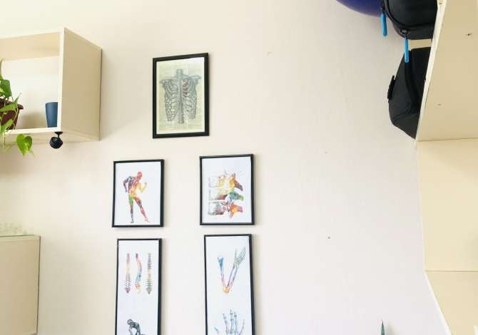 Shitet biznesi i ngritur / Klinike fizioterapie