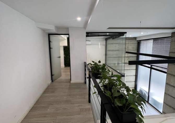 Jepet Ambjent Biznesi me Qera . Qender Tirane