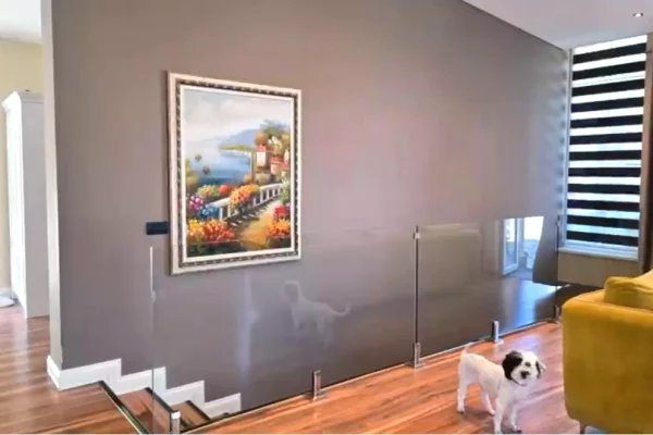 Shtepi ne shitje Vila Luksoze ne Tirane, 5+1, Mobilimi E mobiluar, Pagesa 1,100,000  Euro.