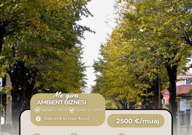 Business Property for Rent 1+1 in Korca - 2,500 Euro