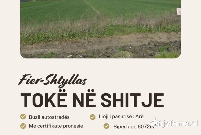 Truall ose Toke  ne Fier - 95,000 Euro