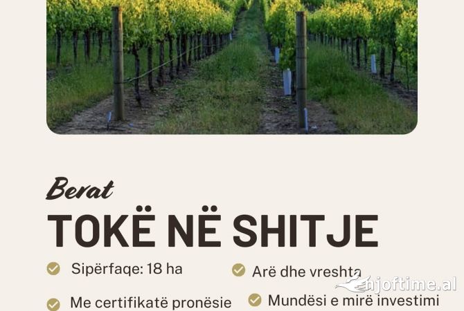 Truall ose Toke ne Berat - 540,000 Euro