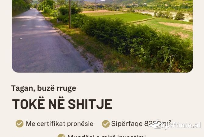 Truall ose Toke  ne Tirane - 660,000 Euro