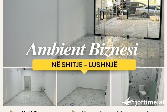 Ambient biznesi ne shitje 1+1 ne Lushnje - 65,000 Euro