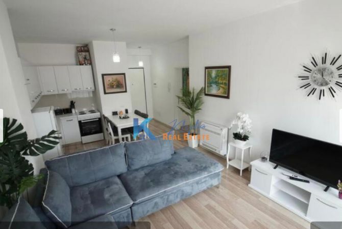 Shtepi me qera 1+1 ne Tirane - 750 Euro