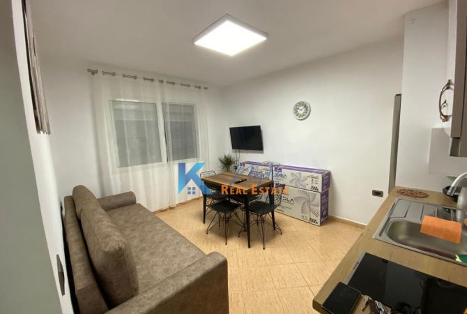 House for Rent 1+1 in Tirana - 50,000 Leke