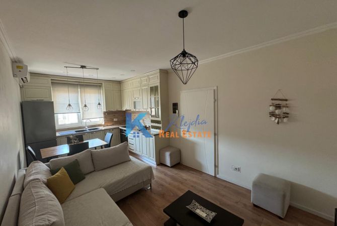 Shtepi me qera 1+1 ne Tirane - 60,000 Leke