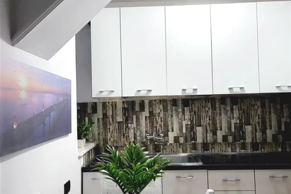 Appartamento in affitto a Tirana 1+1, Arredato