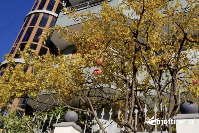 Casa in affitto 7+1 a Tirana - 3,500 Euro