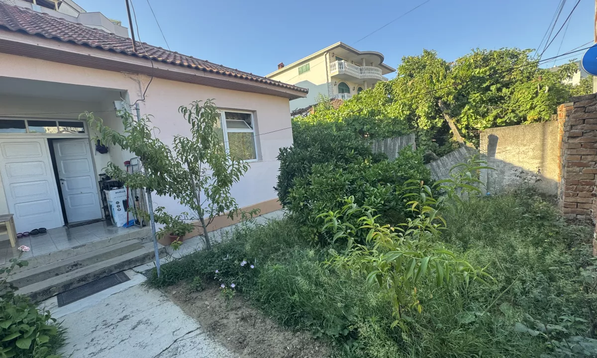 Foto 2