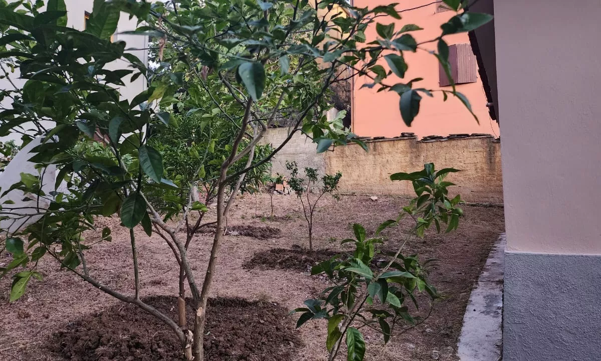 Foto 2