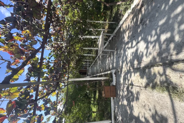 Shtepi me qera 3+1 ne Tirane - 600 Euro