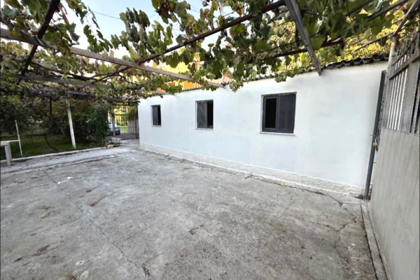 Shtepi me qera Garsoniere ne Tirane - 250 Euro