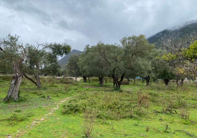 Truall ose Toke  ne Himare - 110,000 Euro