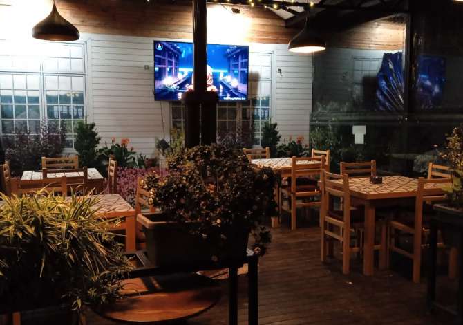 Ambient biznesi me qera 1+1 ne Tirane - 800 Euro