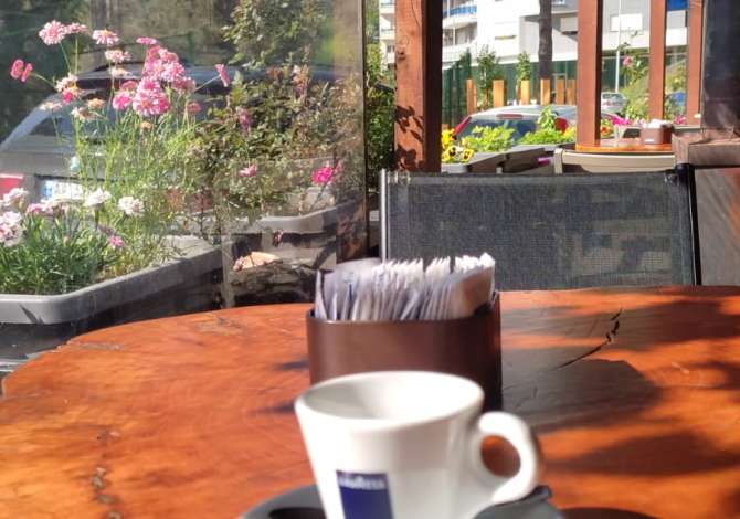Ambient biznesi me qera 1+1 ne Tirane - 800 Euro