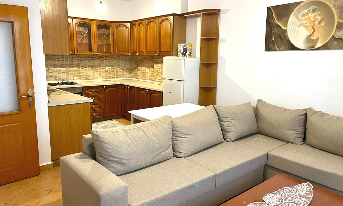 Shtepi me qera Apartament ne Tirane, 1+1, Mobilimi E mobiluar, Pagesa 530  Euro.