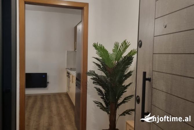 Shtepi me qera 2+1 ne Tirane - 55,000 Leke