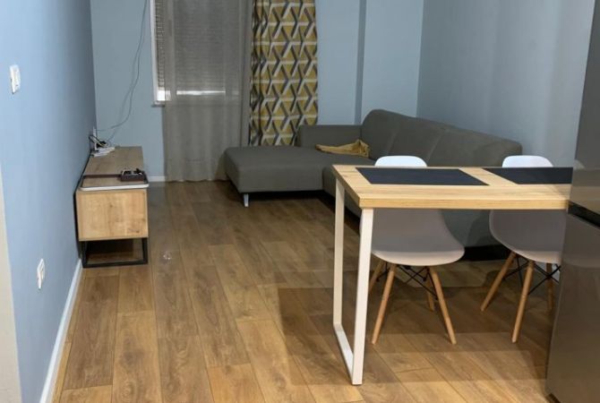 Shtepi ne shitje Apartament ne Tirane, 1+1, Mobilimi E mobiluar, Pagesa 105,000  Euro.