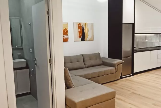 Shtepi ne shitje Apartament ne Tirane, 1+1, Mobilimi E mobiluar, Pagesa 93,000  Euro.