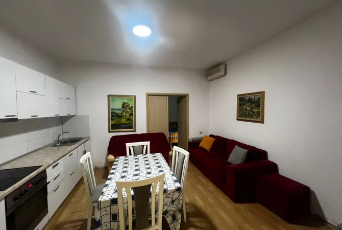 Shtepi me qera 1+1 ne Tirane - 450 Euro