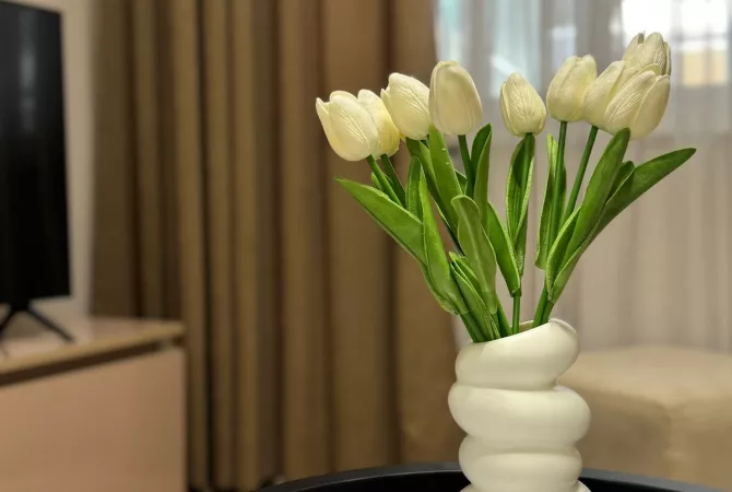 Shtepi me qera Apartament ne Tirane, 1+1, Mobilimi E mobiluar, Pagesa 900  Euro.