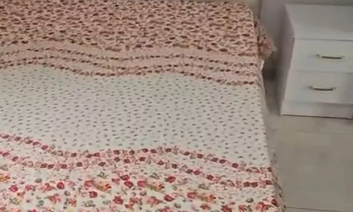 Apartment for rent in Tirana 1+1, Furnished