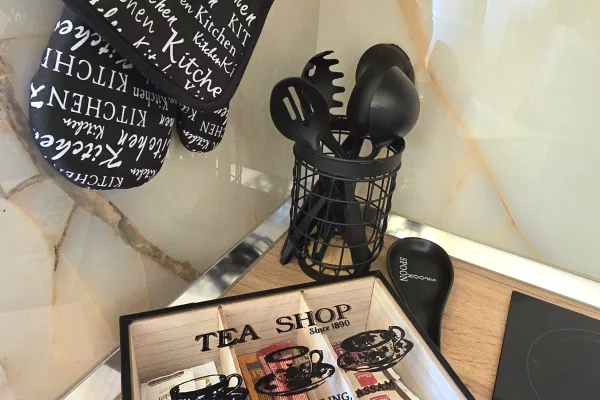 Apartment for rent in Tirana 1+1, Furnished