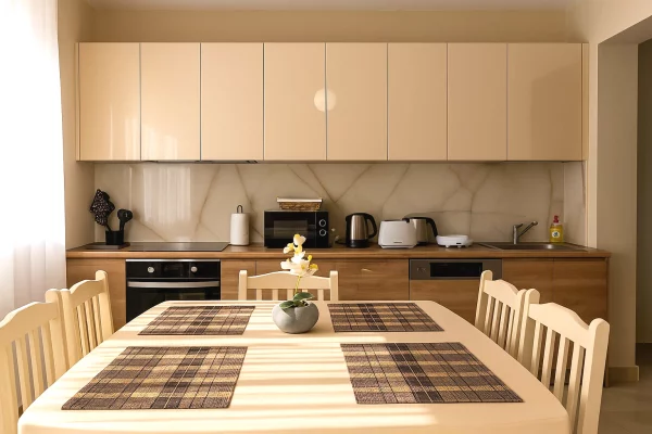 Apartment for rent in Tirana 1+1, Furnished