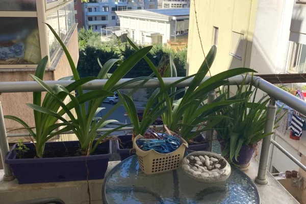 Apartment for sale in Tirana 2+1, Furnished