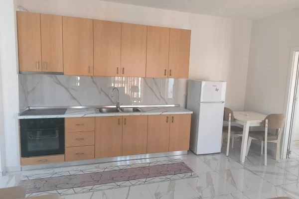 Shtepi me qera Apartament ne Tirane, 1+1, Mobilimi E mobiluar, Pagesa 550  Euro.