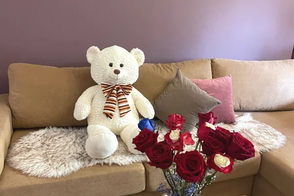 Shtepi me qera Apartament ne Tirane, 1+1, Mobilimi E mobiluar, Pagesa 700  Euro.