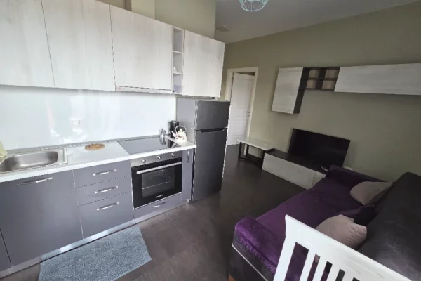 Apartment for rent in Tirana 1+1, In Part