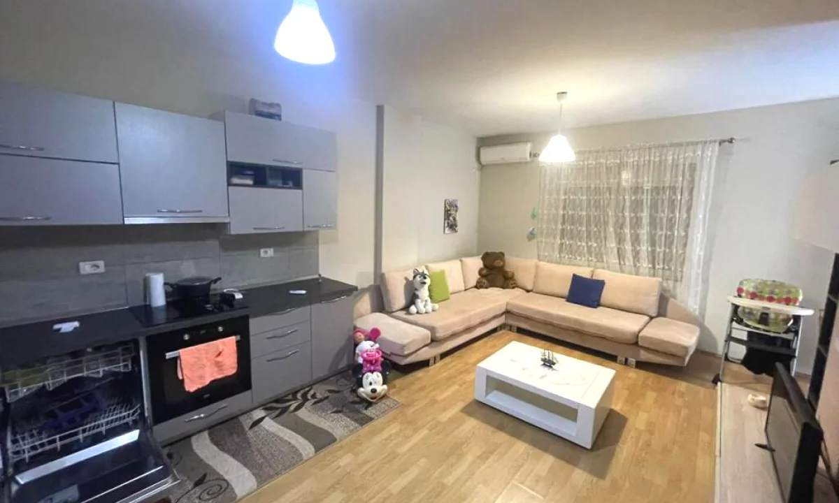 Shtepi ne shitje Apartament ne Tirane, 2+1, Mobilimi E mobiluar, Pagesa 13,000,000  Leke.