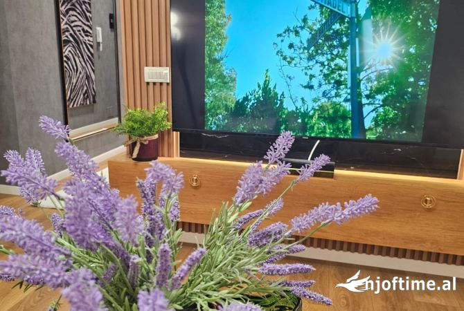 Shtepi ne shitje Apartament ne Tirane, 1+1, Mobilimi E mobiluar, Pagesa 176,000  Euro.