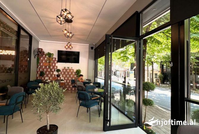 Ambient biznesi ne shitje 2+1 ne Tirane - 600,000 Euro