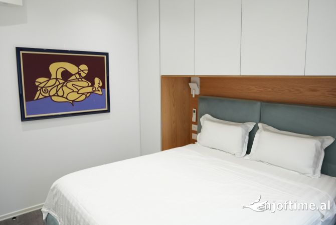 Apartment for rent in Tirana 1+1, Furnished