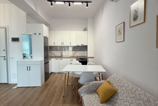 Shtepi me qera Apartament ne Tirane, 1+1, Mobilimi E mobiluar, Pagesa 400  Euro.