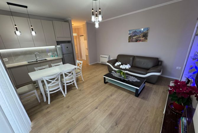 Shtepi me qera Apartament ne Tirane, 1+1, Mobilimi E mobiluar, Pagesa 600  Euro.