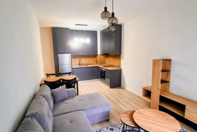 Shtepi me qera 2+1 ne Tirane - 60,000 Leke