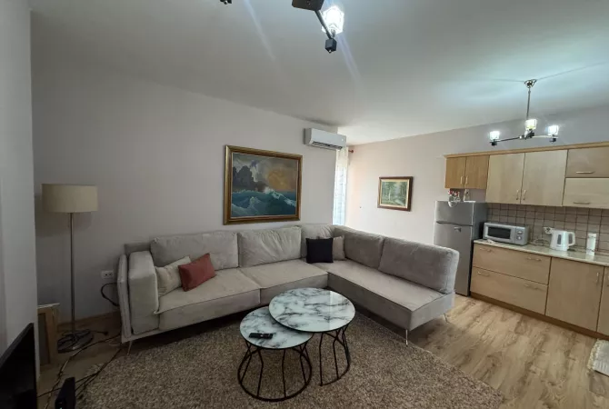 Shtepi me qera Apartament ne Tirane, 1+1, Mobilimi E mobiluar, Pagesa 600  Euro.